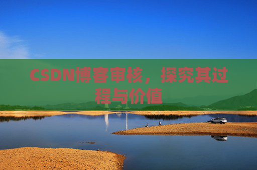 CSDN博客审核，探究其过程与价值